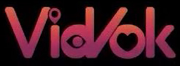 VidVok Logo